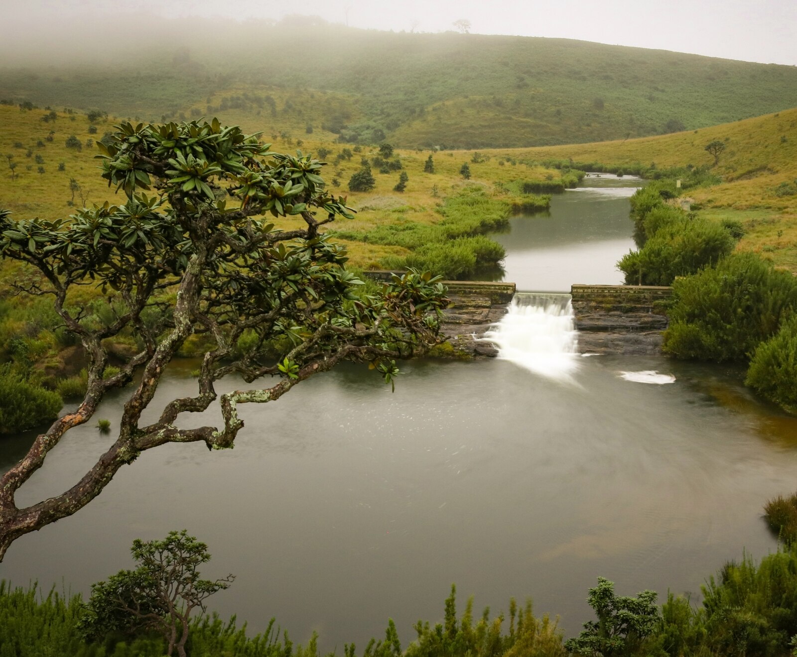 Horton Plains National Park