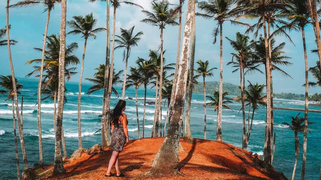 Mirissa tourist Beach