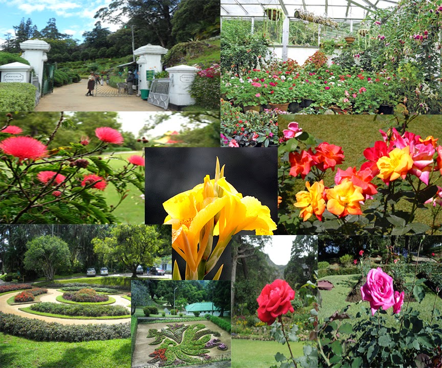 Hakgala Botanical Garden