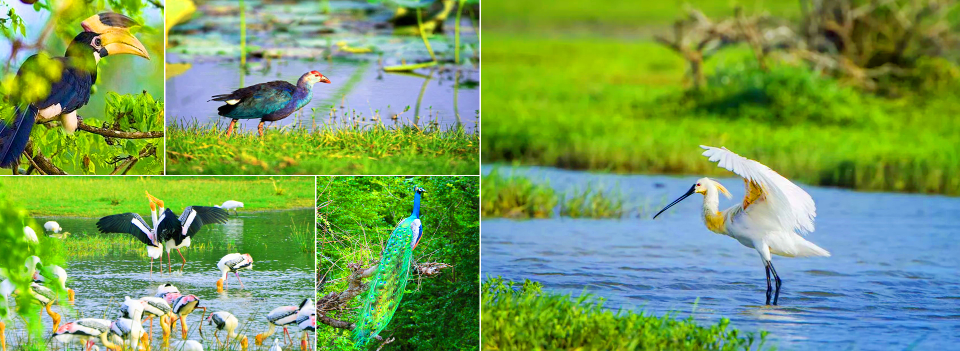 Kumana National Park