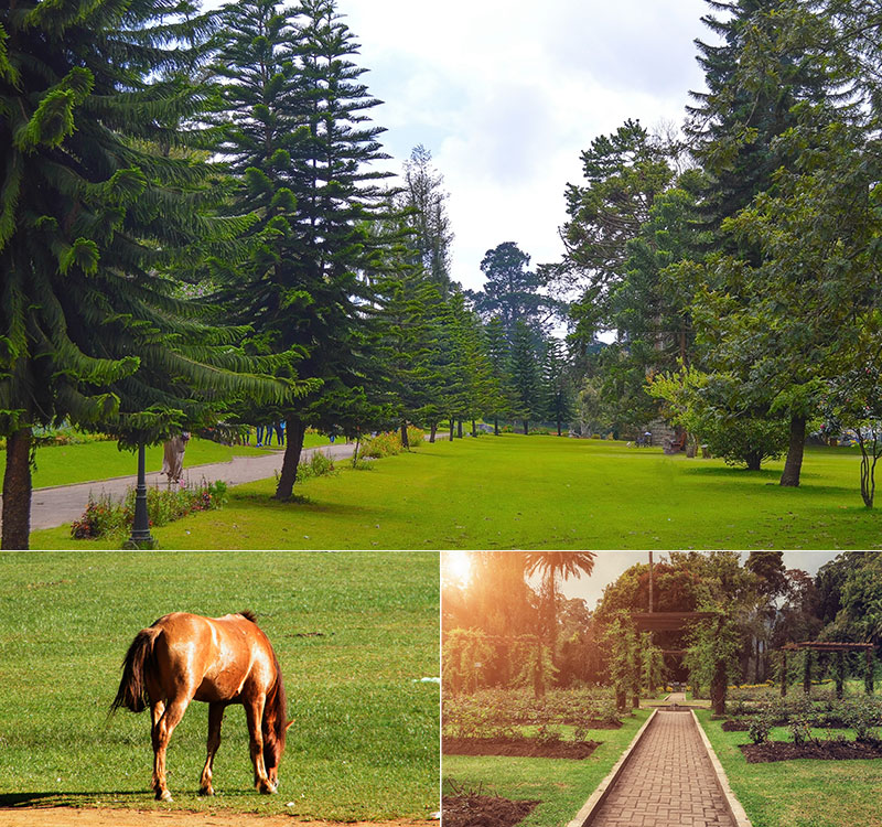 Victoria Park